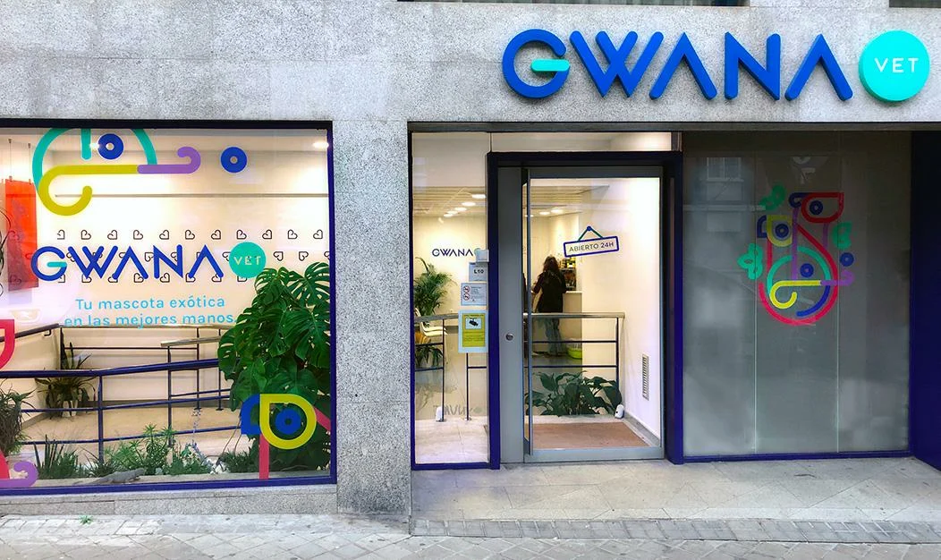 Así es nuestra clínica Gwana Vet